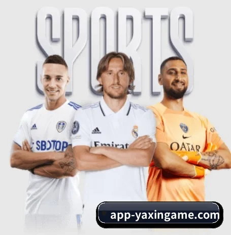 亚新体育 APP
