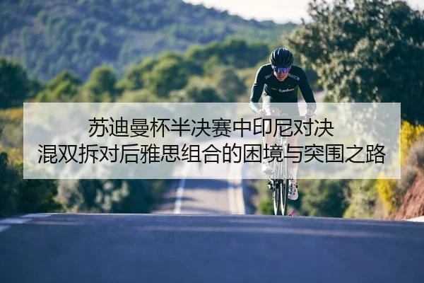 su-di-man-bei-ban-jue-sai-zhong-yin-ni-dui-jue-hun-shuang-chai-dui-hou-ya-si-zu-he-de-kun-jing-yu-tu-wei-zhi-lu-2-211.jpg
